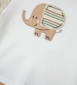 Set t-shirt e bermuda